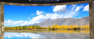“海外客戶最關(guān)心的LED屏參數(shù):不是分辨率，而是這個..